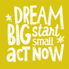 Dream Big, Start Small, Act Now